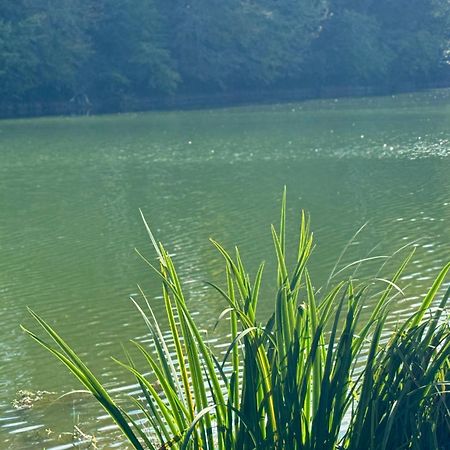 Lac De Lumiere. Relax With Rural Lakeside Living Herry Eksteriør billede