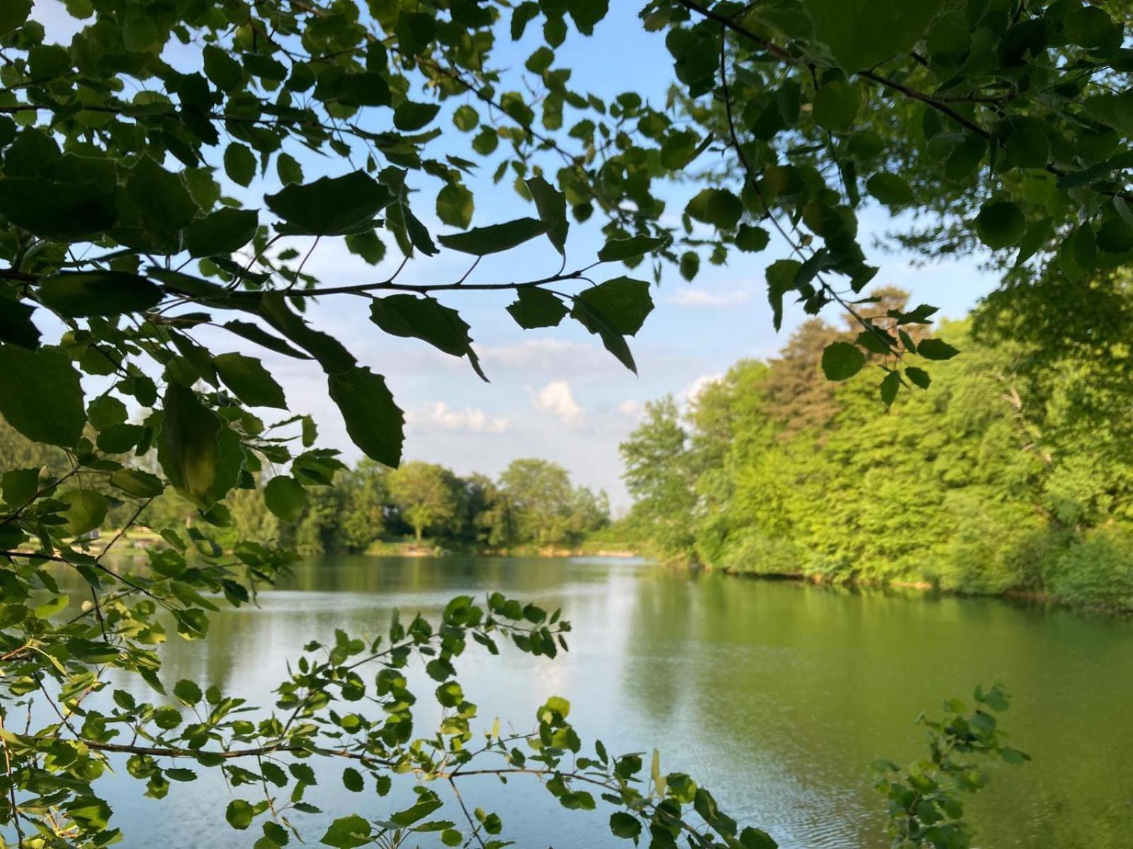 Lac De Lumiere. Relax With Rural Lakeside Living Herry Eksteriør billede